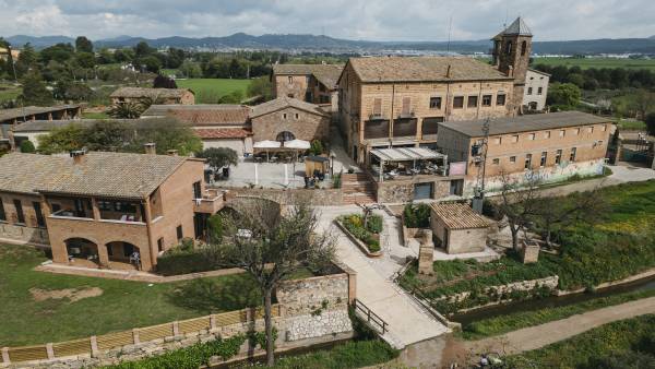 Vi, cultura i paisatge